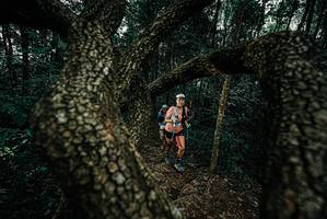 BIB: 
                            <button type="button" onclick="openModal(25686542)" class="btn btn-primary btn-sm float-right btn-popup" data-toggle="modal" data-target=".modal-high-quality">
                        <i class="fas fa-shopping-cart"></i> Add to Cart
                    </button>
                                            <button type="button" onclick="isThisMe(25686542, true)" class="btn btn-success btn-sm float-right btn-popup btn-isme hidden" data-toggle="tooltip" data-placement="bottom" title="นี่คือรูปของคุณใช่ไหม คลิกที่นี่เพื่อเอาเข้าอัลบั้ม">
                        <i class="fas fa-plus"></i> Add to album
                    </button>
                    <button type="button" onclick="isThisMe(25686542, false)" class="btn btn-warning btn-sm float-right btn-popup btn-isnotme hidden">
                        <i class="fas fa-ban"></i> Remove from album
                    </button>